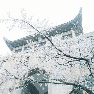 维也纳现代声音乐团登台，2024北京现代音乐节闭幕